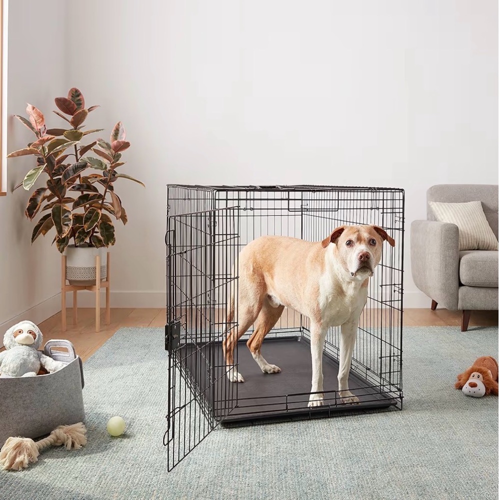 22 Inches Metal Dog Crate with Removable Tray